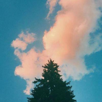 乐鱼体育官网app网页登录