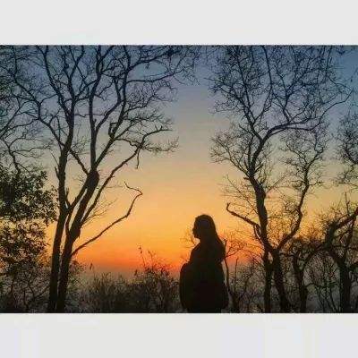 722cc大发彩神app下载