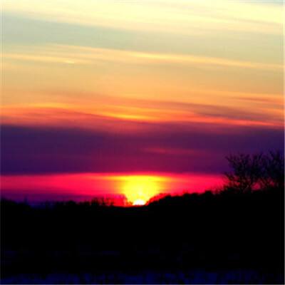 博鱼网页在线登录