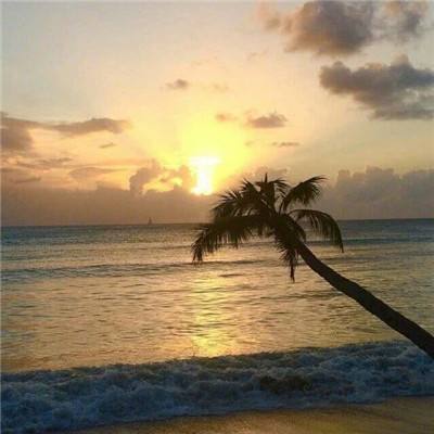 乐鱼(中国)官方网站